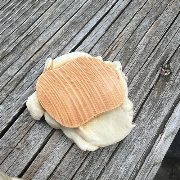 1995 Harmony Kingdom Ed’s Safari Elephant Trinket Box Wild Ones Preowned Resin - Picture 11 of 16